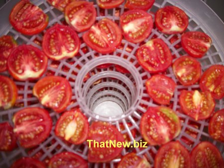 Borghese Tomato3.jpg (42243 bytes)